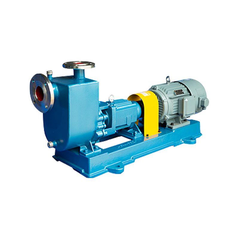 Pompa centrifuga chimica di ZH.